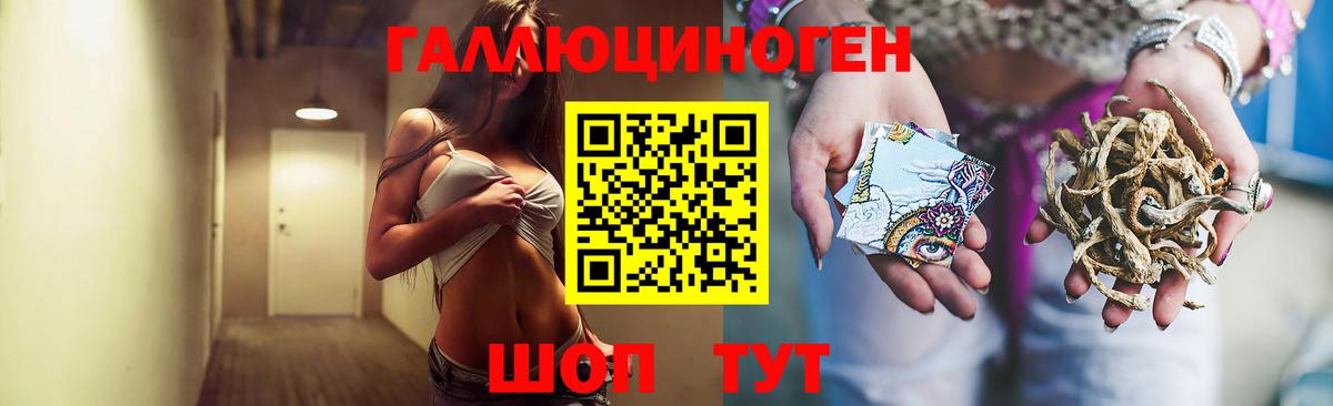 Псилоцибиновые грибы мицелий Северобайкальск